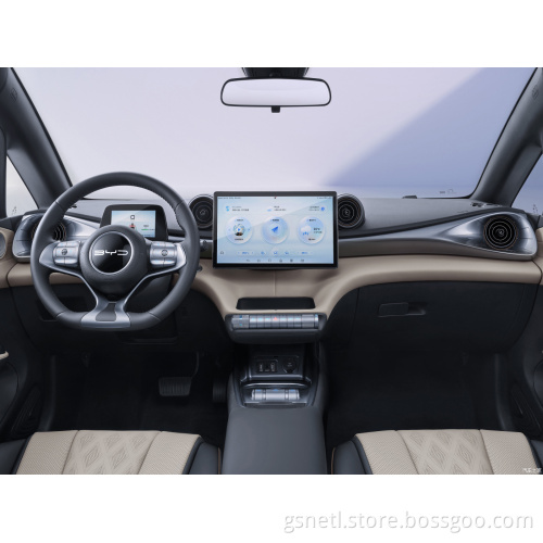 Hot selling Byd Dolphin pure electric driving range long life battery front-wheel-drive layout new energy mini vehicle